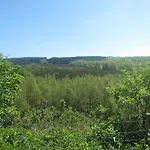 Cozy Forest In Nyaraló *