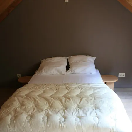 Cozy Forest In 度假居