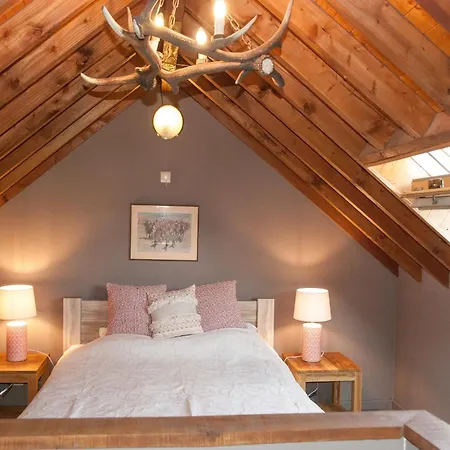 Cozy Forest In * افينه