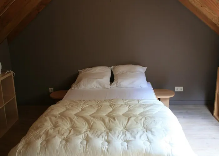 Cozy Forest In Holiday home