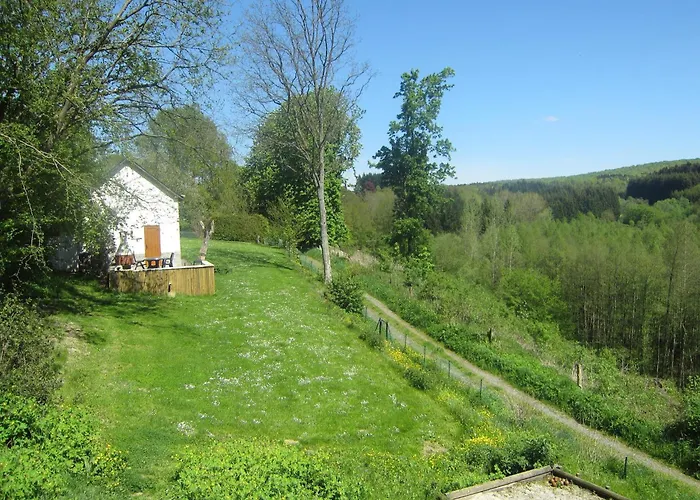 Cozy Forest In Holiday home *